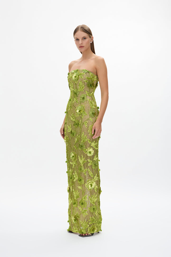 Pierre Gown