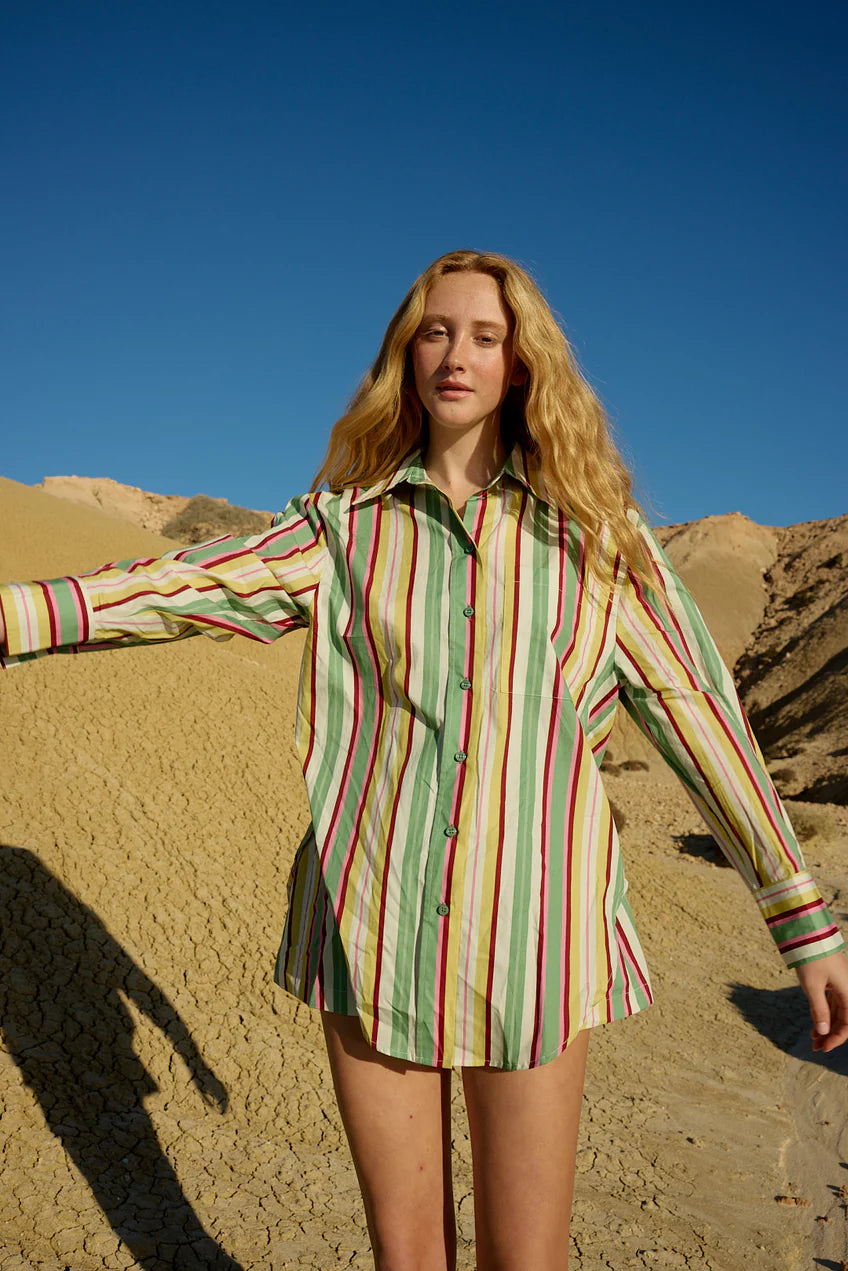 Buddy Shirt - Meadow Stripe