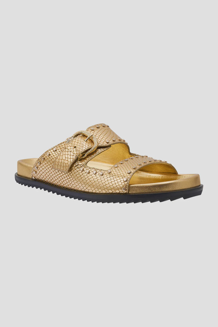 Alisa Snake Buckle Sandal - Gold