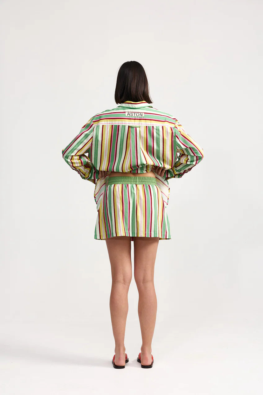 Indi Skirt - Meadow Stripe