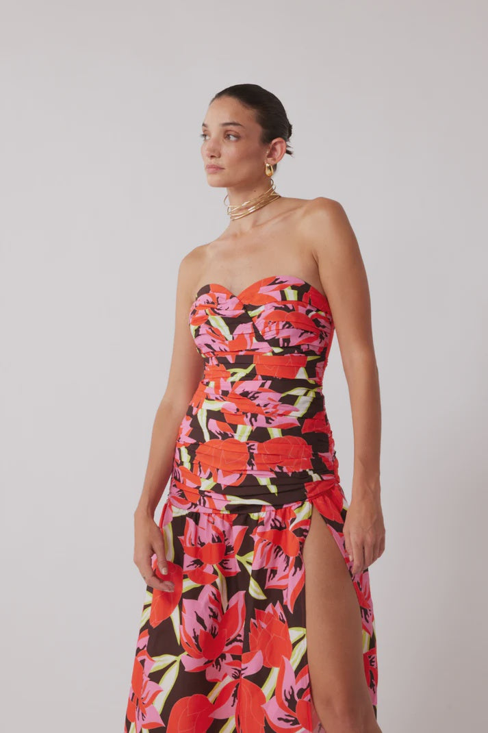Dolcie Strapless Maxi Dress - Rojo Print